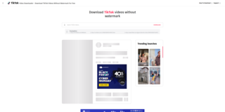 TikTok Video Downloader without watermark