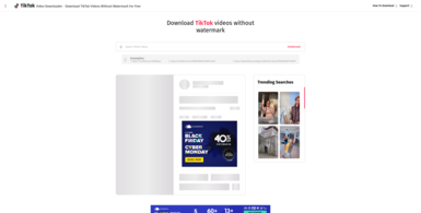 TikTok Video Downloader without watermark
