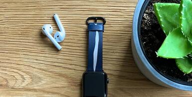 Apple Watch straps business + stock