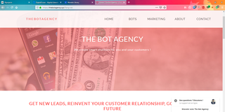 The Bot Agency